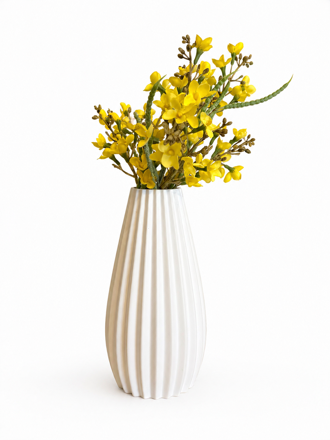 Primavera